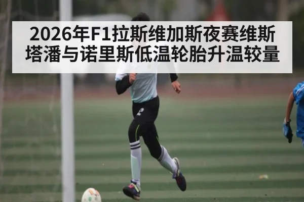 2026年F1拉斯维加斯夜赛维斯塔潘与诺里斯低温轮胎升温较量
